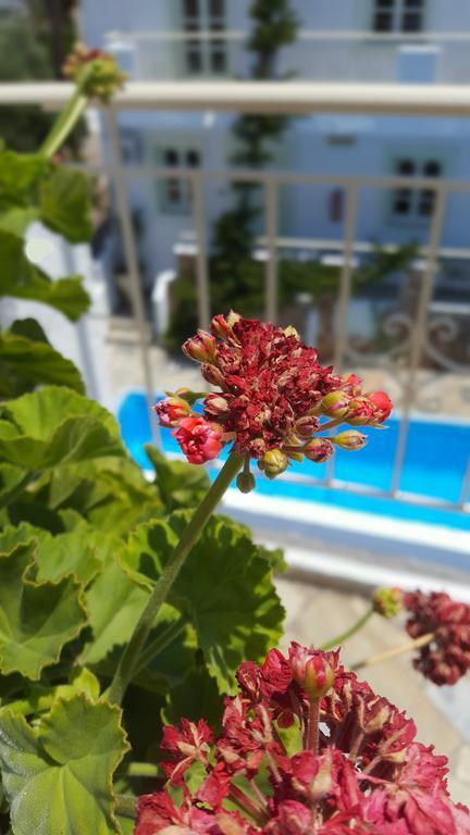 Piskopiano Studios Bagian luar foto